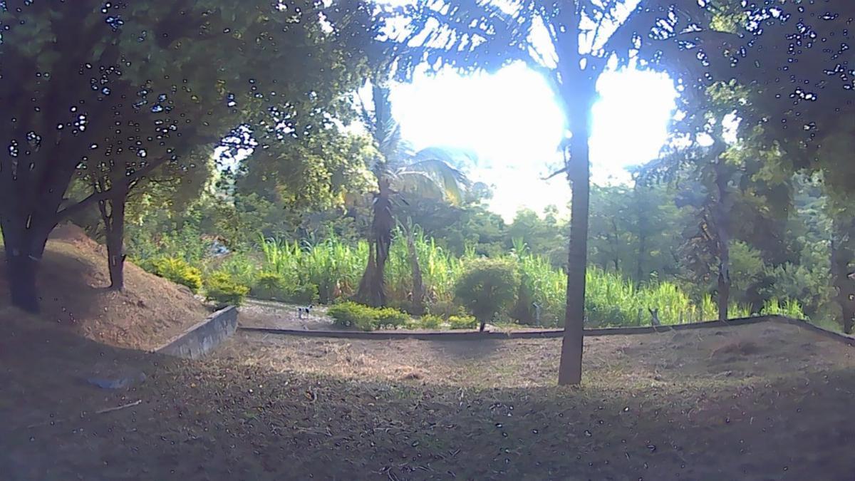 Fazenda, Centro, 2 Quartos, 1 Vaga, 1 Suíte