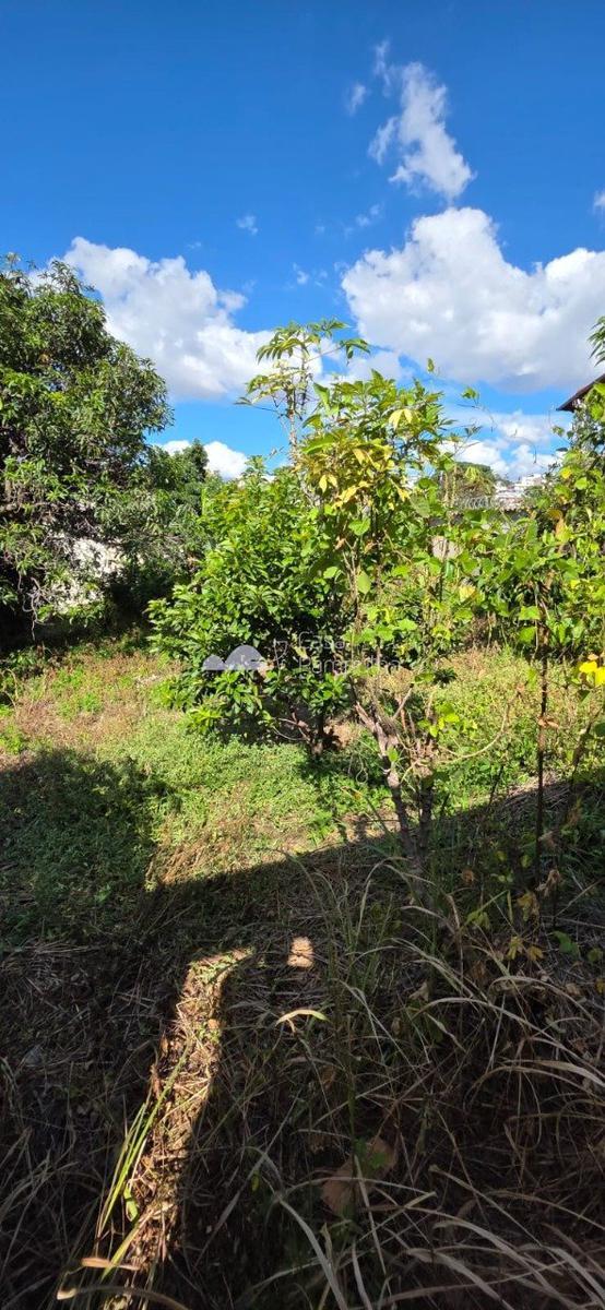 Lote, Santa Amélia, 0 Quarto, 0 Vaga