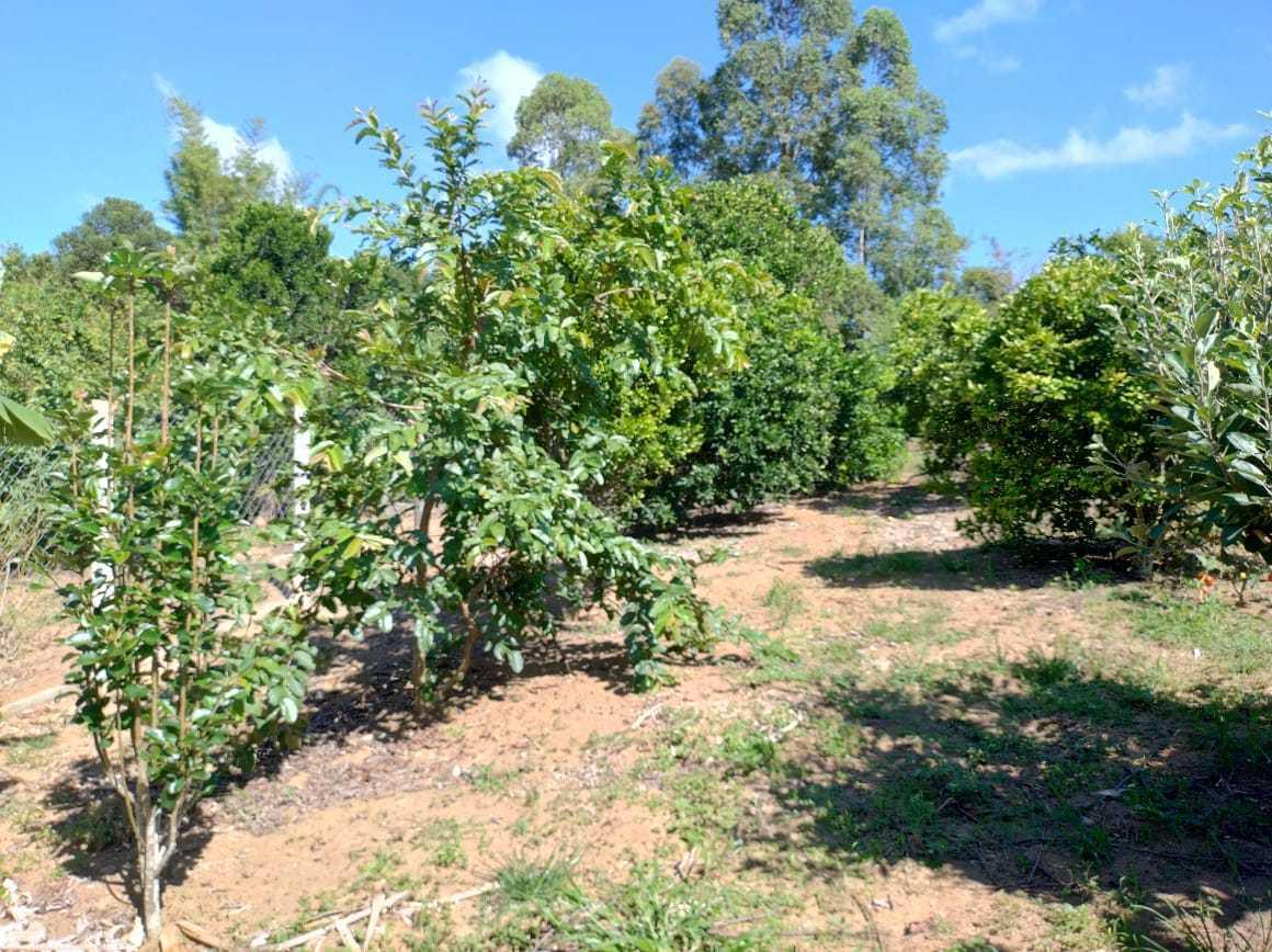Fazenda, Zona Rural, 3 Quartos, 2 Vagas, 2 Suítes