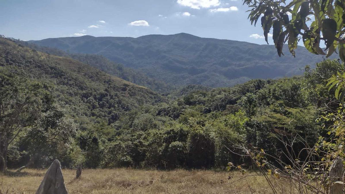 Lote, Santo Antônio do Salto, 0 Quarto, 0 Vaga