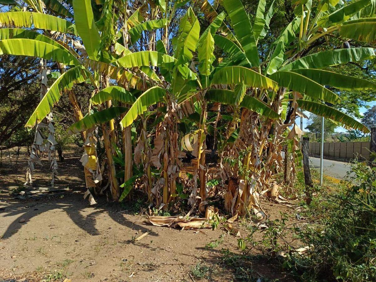 Fazenda, Area Rural de Sete Lagoas, 0 Quarto, 0 Vaga