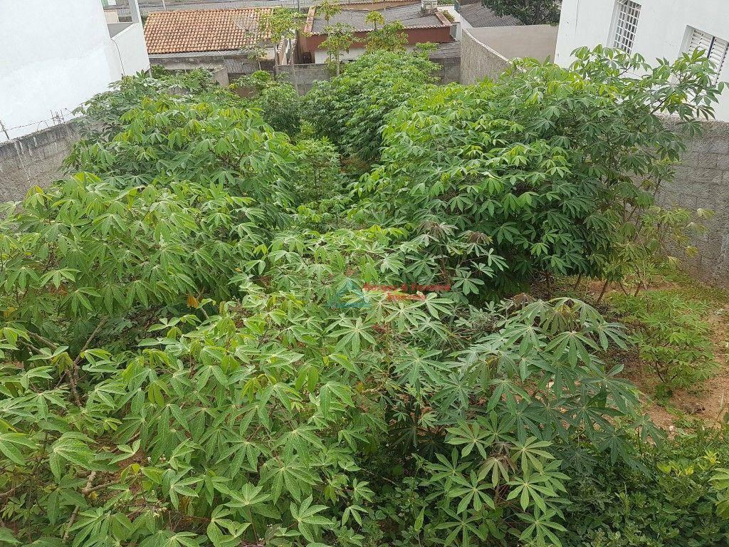 Lote, Santa Maria, 0 Quarto, 0 Vaga