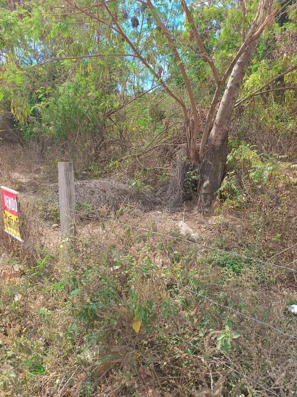 Lote, Parque Maracanã, 0 Quarto, 0 Vaga