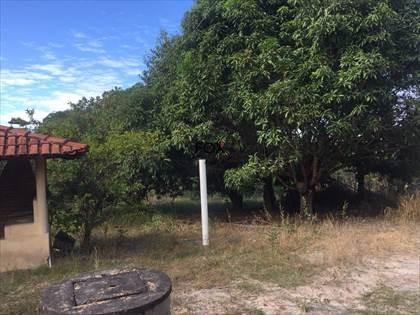 Apartamento, Córrego da Minhoca, 5 Quartos, 0 Vaga