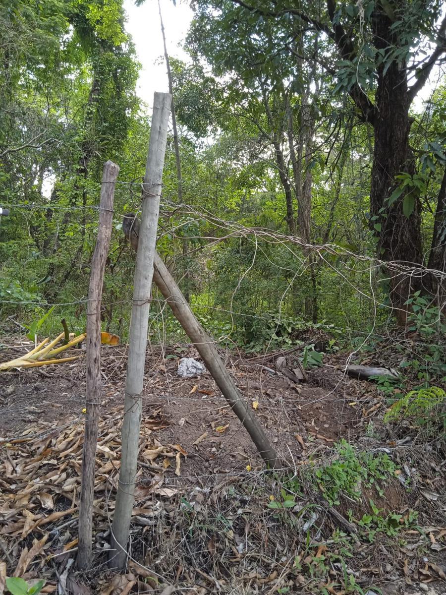 Lote, Vianópolis, 0 Quarto, 0 Vaga
