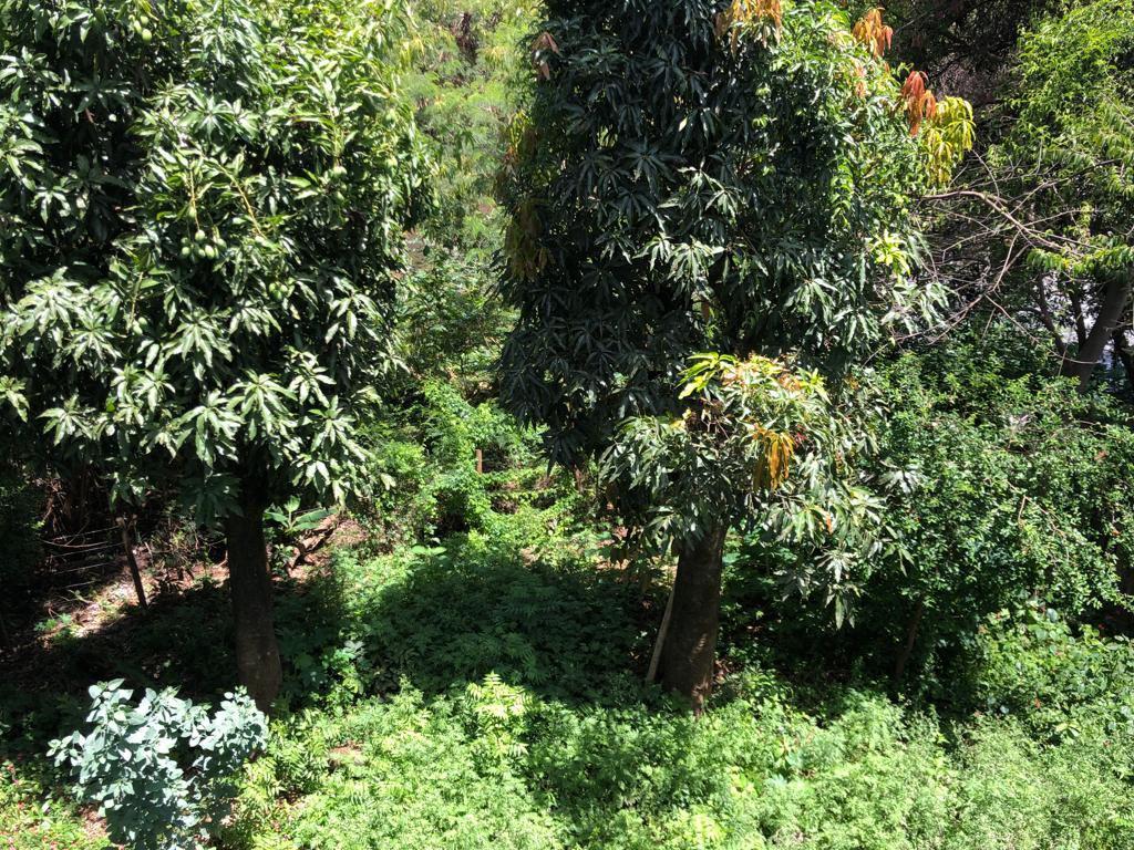 Casa, Vila Eugênio Rossi, 2 Quartos, 3 Vagas, 1 Suíte