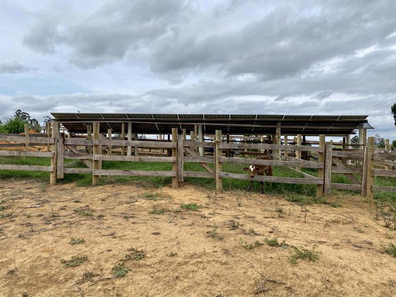 Fazenda, 4 Quartos, 1 Suíte