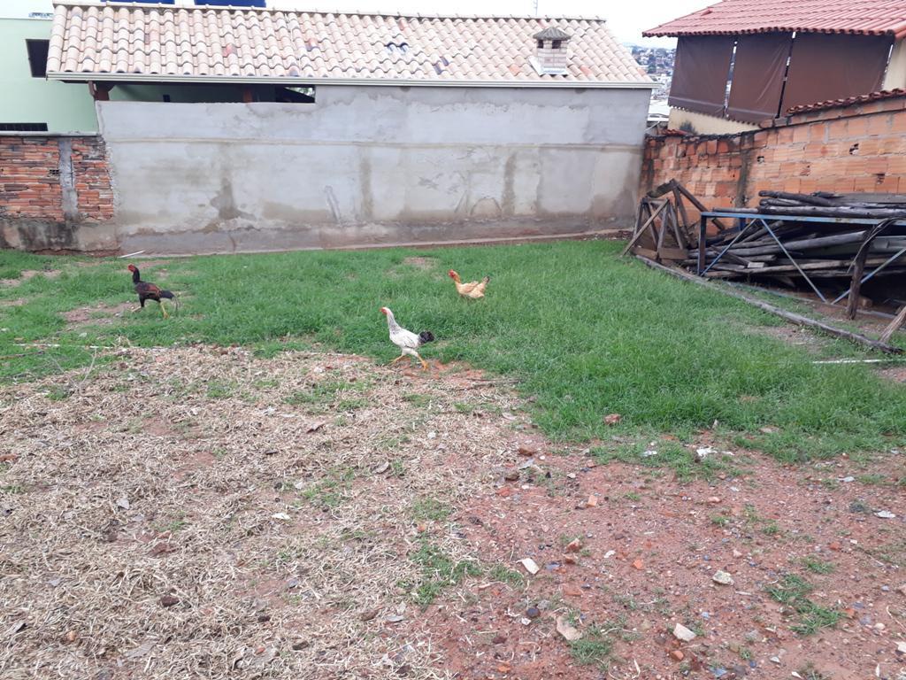 Lote, Floramar, 0 Quarto, 0 Vaga
