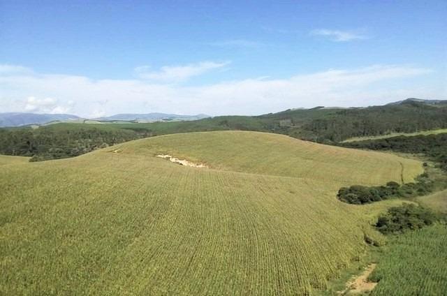 Fazenda, Centro, 7 Quartos, 2 Vagas
