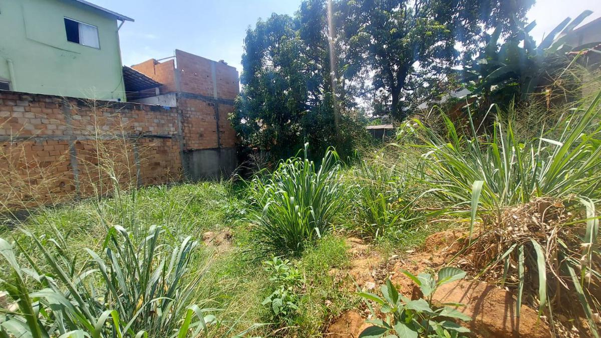 Lote, Santa Cruz, 0 Quarto, 0 Vaga