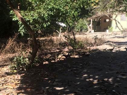 Apartamento, Córrego da Minhoca, 5 Quartos, 0 Vaga