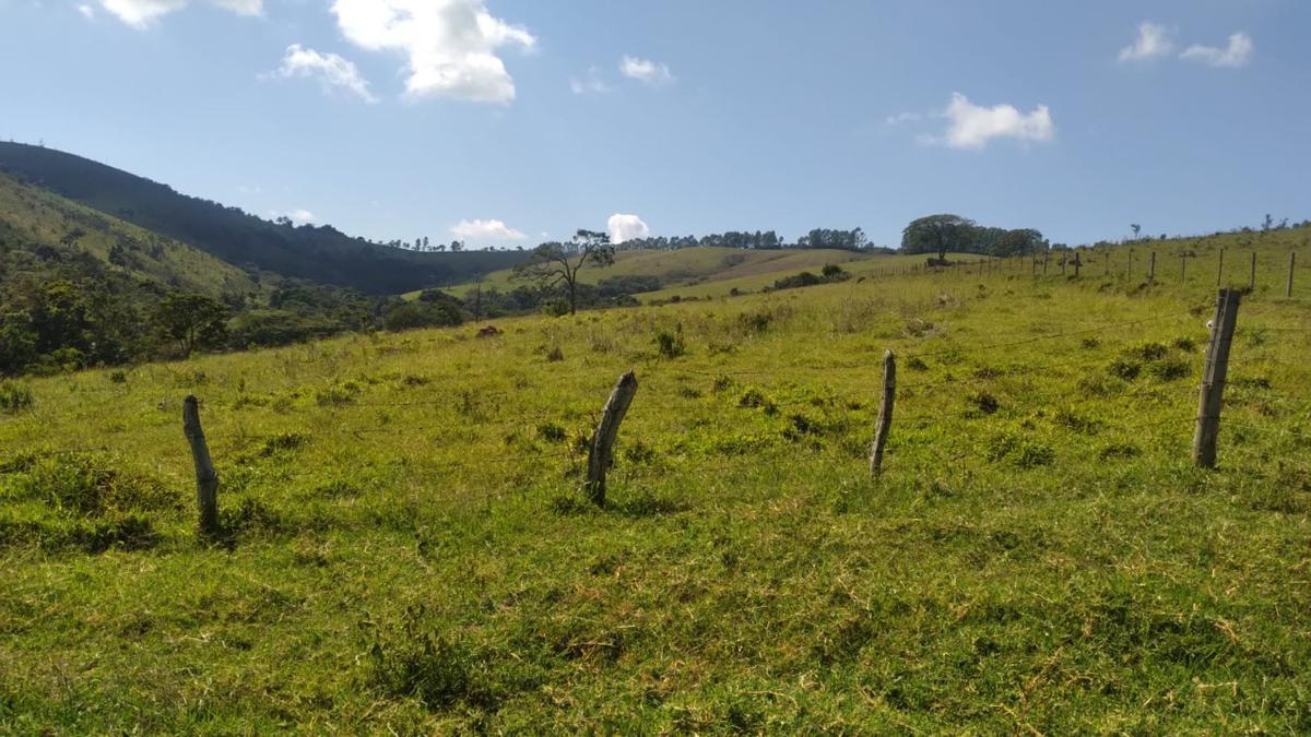 Fazenda, Centro, 0 Quarto, 0 Vaga