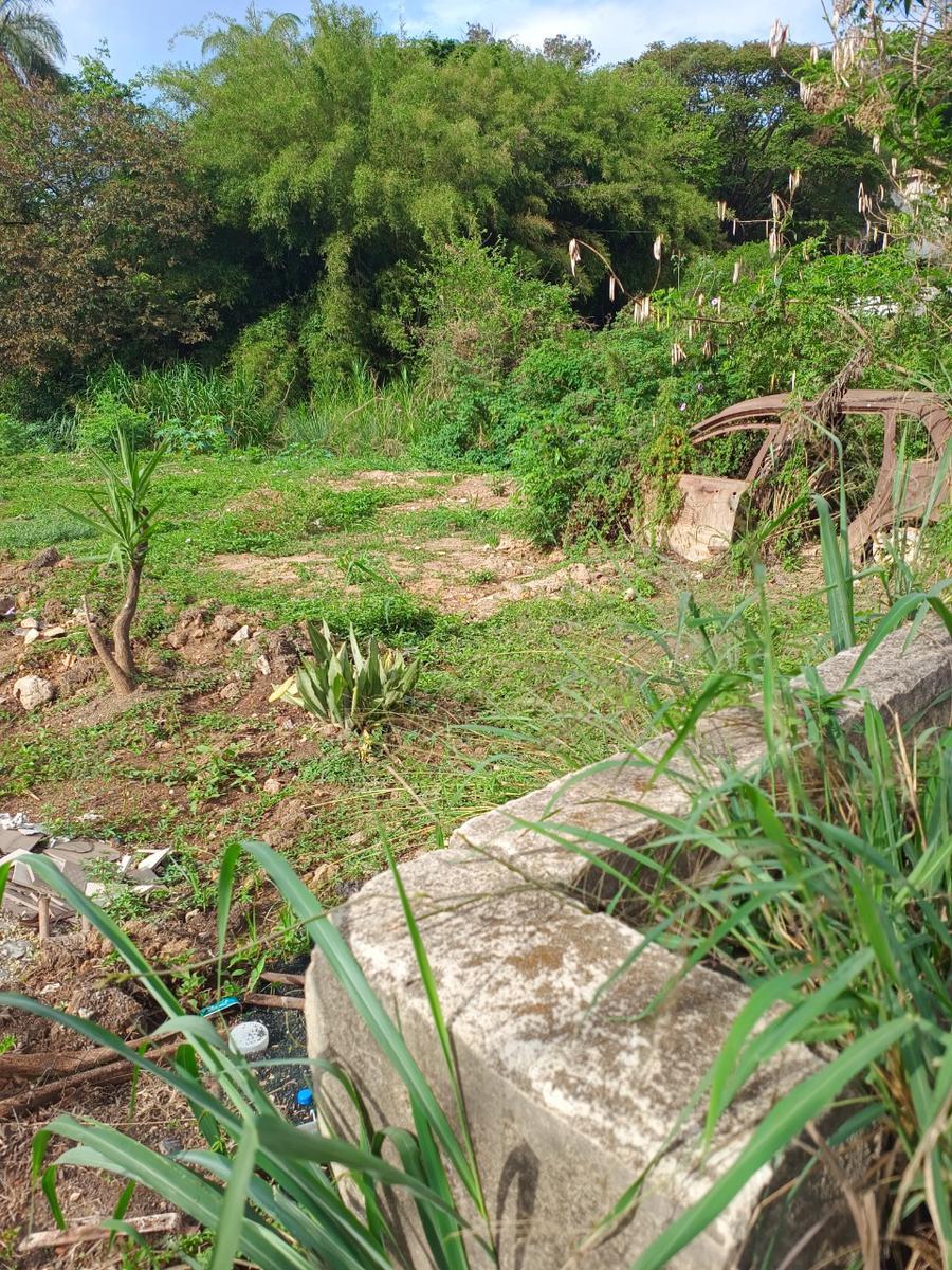 Lote, Quintas Coloniais, 0 Quarto, 0 Vaga
