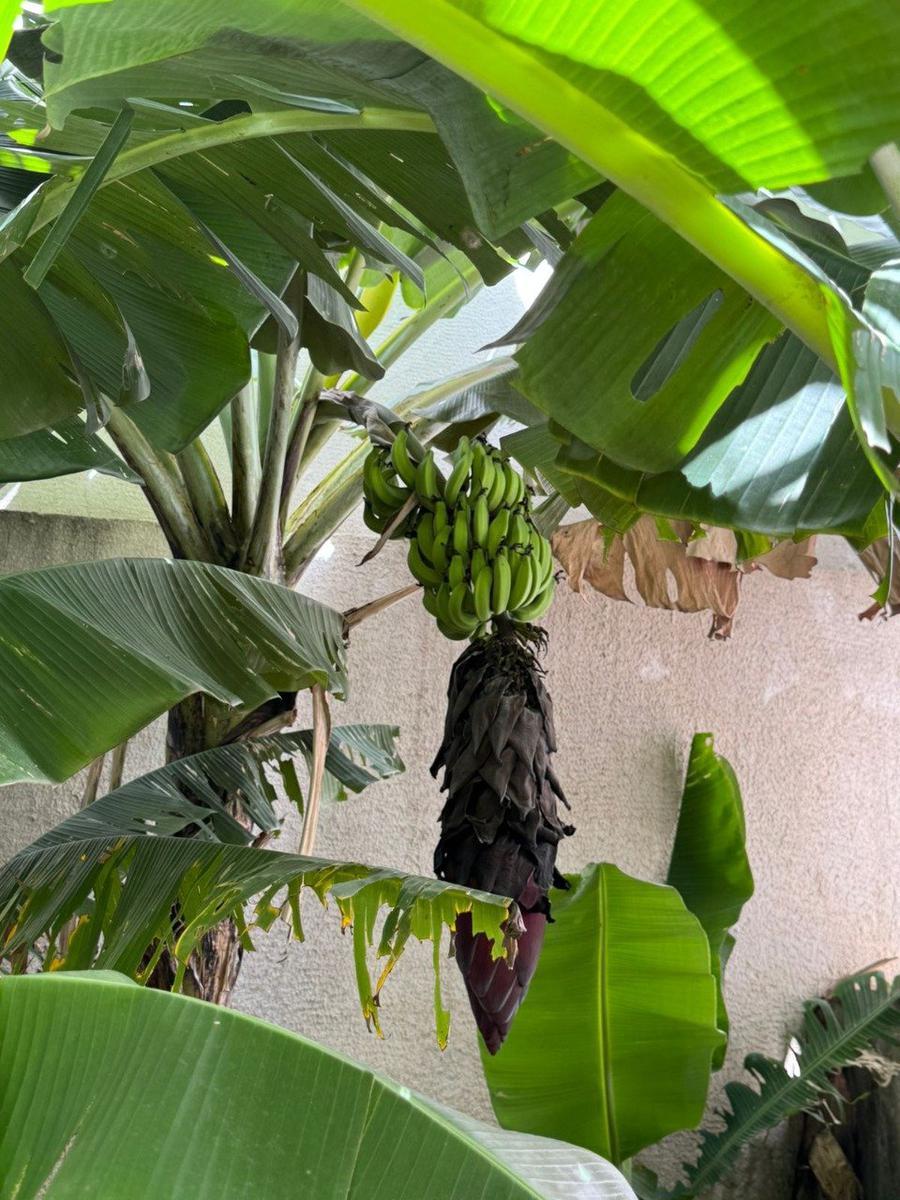 Apartamento, Sagrada Família, 1 Quarto, 1 Vaga