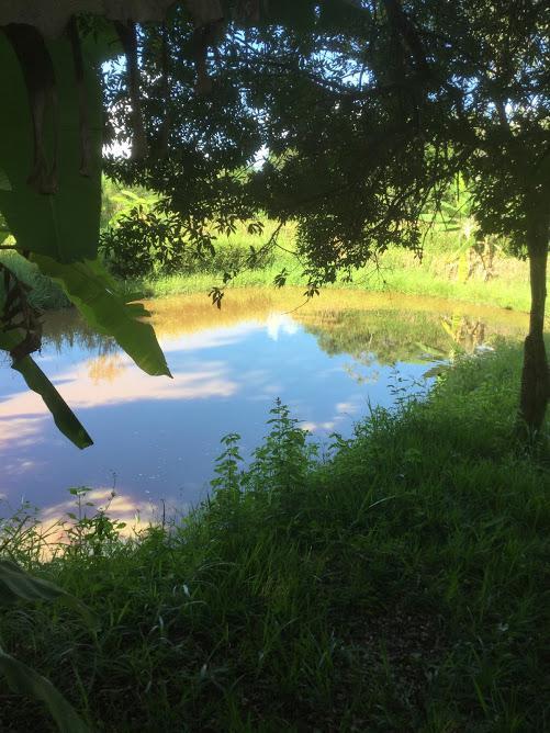 Fazenda, Andiroba, 3 Quartos, 5 Vagas
