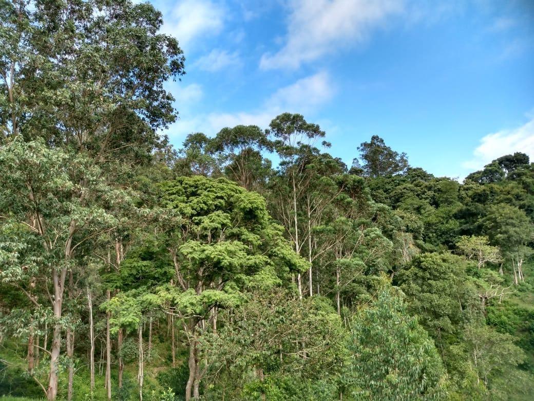 Fazenda, Zona Rural, 0 Quarto, 0 Vaga