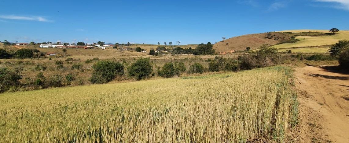 Fazenda, Zona Rural, 6 Quartos, 0 Vaga, 2 Suítes