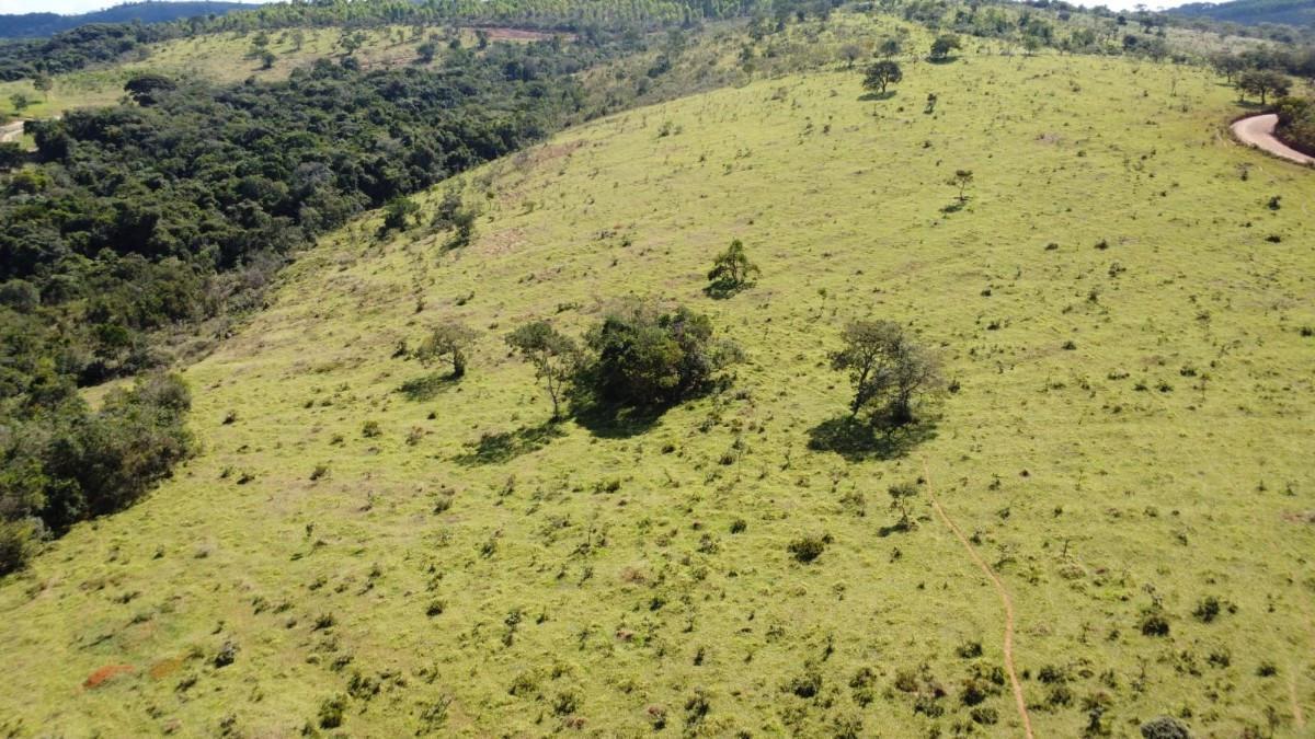 Fazenda, Zona Rural, 0 Quarto, 0 Vaga