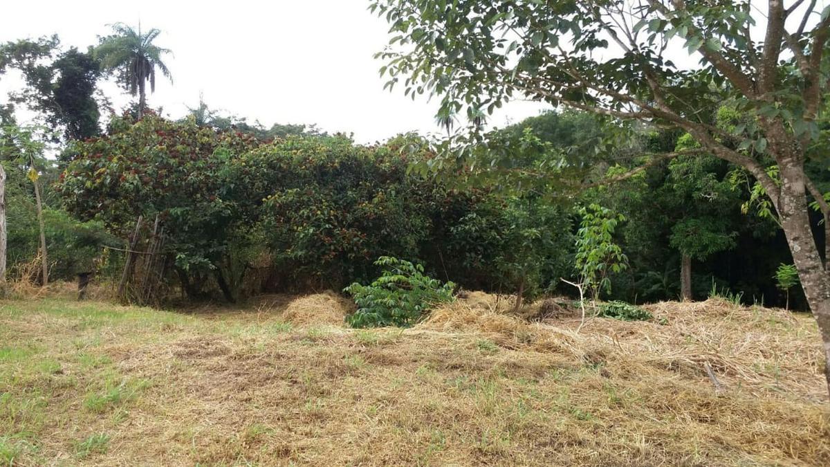 Fazenda, Zona Rural, 4 Quartos, 0 Vaga