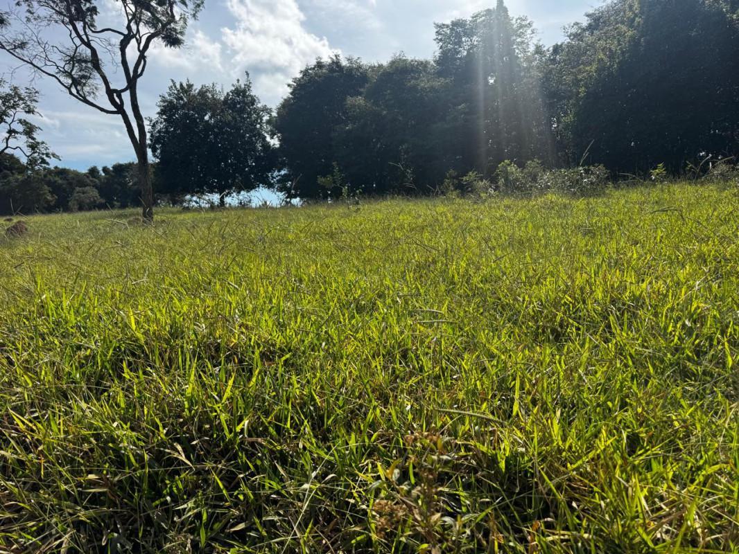 Lote, Centro, 0 Quarto, 0 Vaga