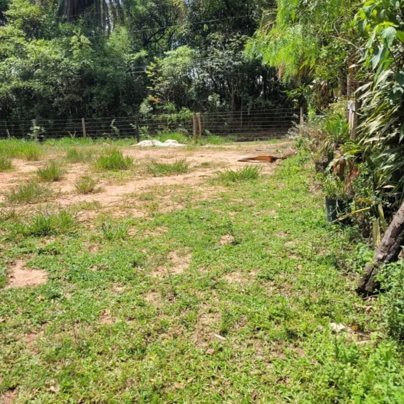 Lote, Bom Repouso, 0 Quarto, 0 Vaga