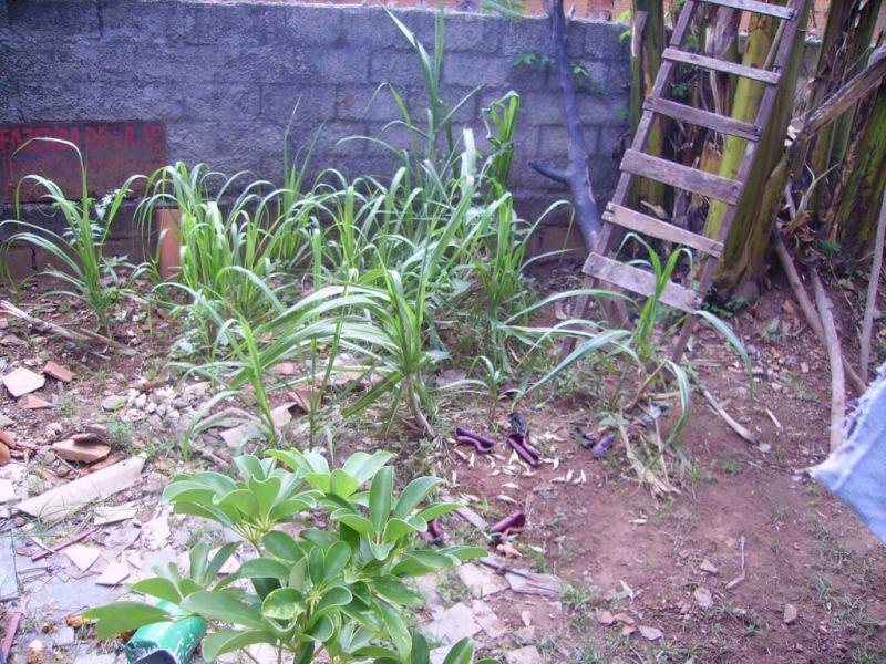 Casa, Jardim Guanabara, 4 Quartos, 4 Vagas, 1 Suíte