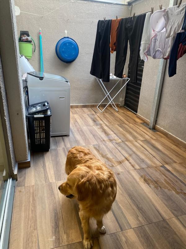 Apartamento, Varzea, 2 Quartos, 1 Vaga