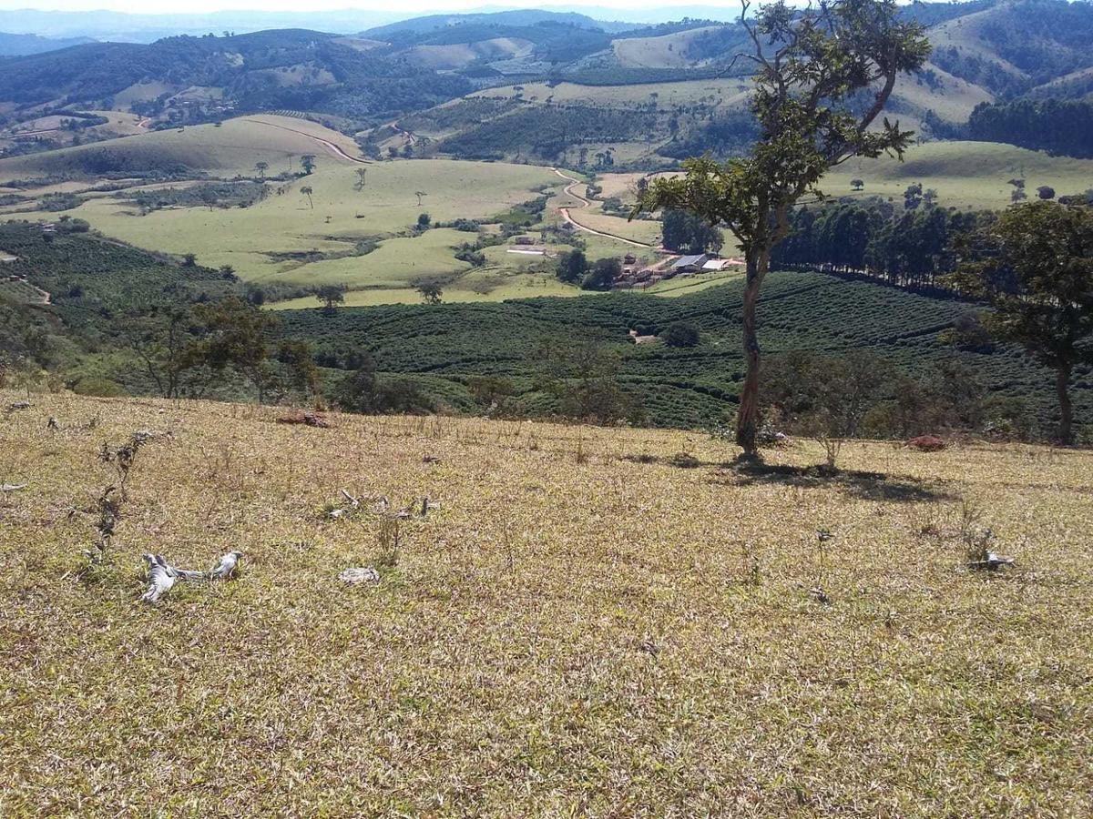 Fazenda, Centro, 3 Quartos, 1 Vaga, 1 Suíte