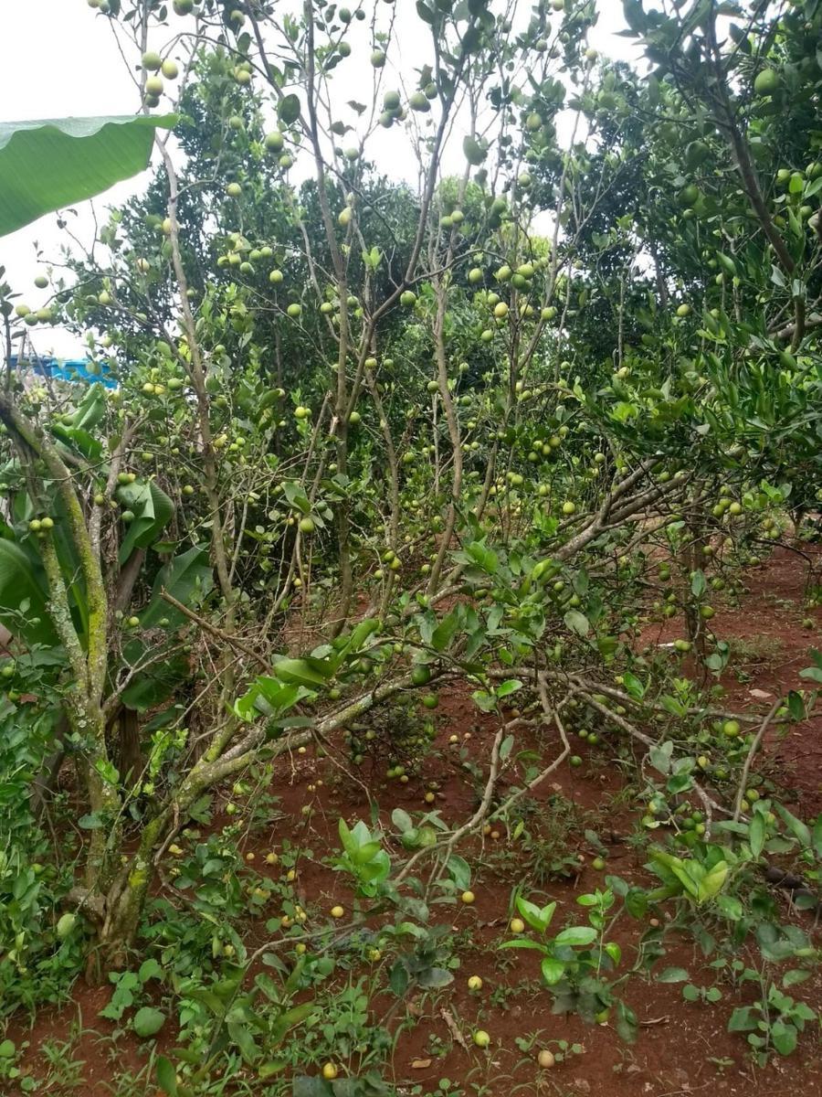 Fazenda, Zona Rural, 3 Quartos, 0 Vaga, 2 Suítes