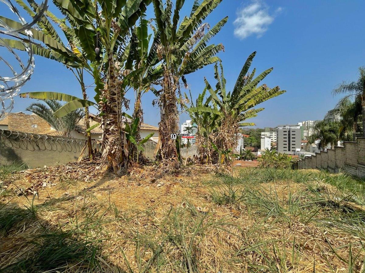 Lote, São Luiz (pampulha), 0 Quarto, 0 Vaga
