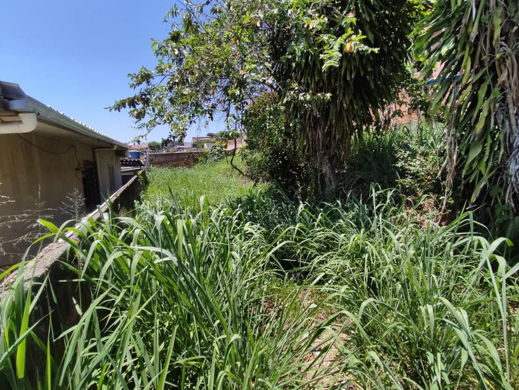 Lote, Santa Cruz, 0 Quarto, 0 Vaga