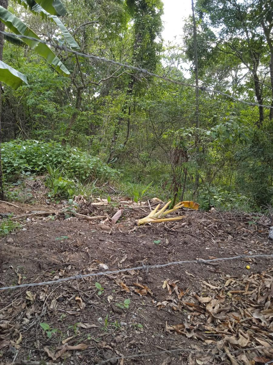 Lote, Vianópolis, 0 Quarto, 0 Vaga