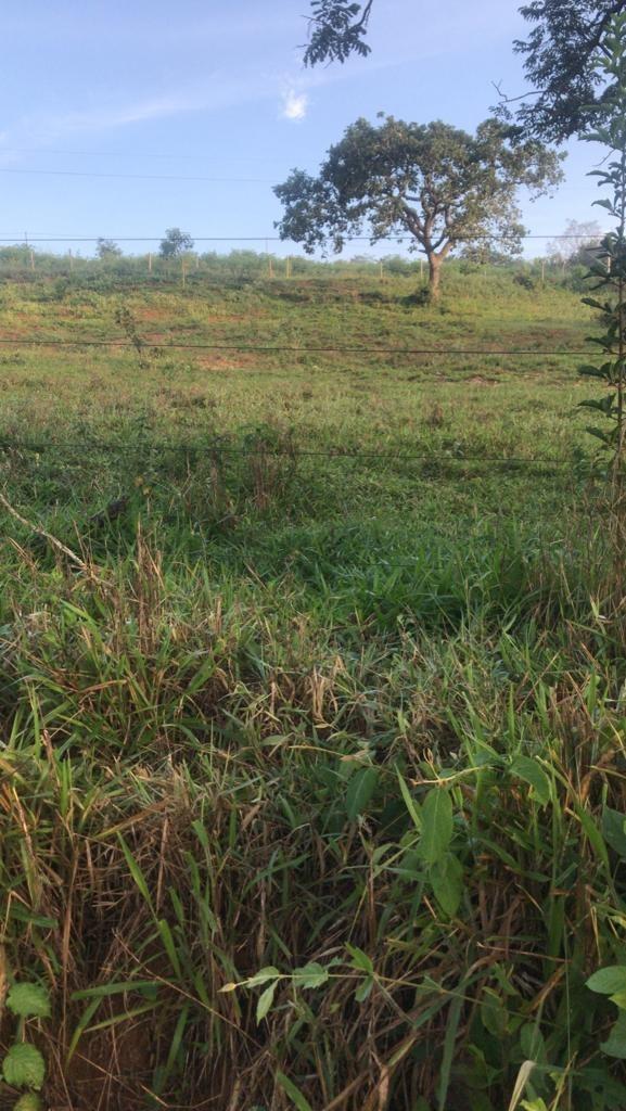 Fazenda, Área Rural de Pará de Minas, 3 Quartos, 0 Vaga, 1 Suíte