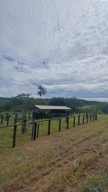 Fazenda, Centro, 0 Quarto, 0 Vaga