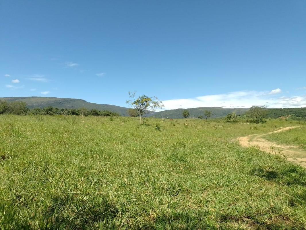 Fazenda, Centro, 10 Quartos, 0 Vaga, 2 Suítes