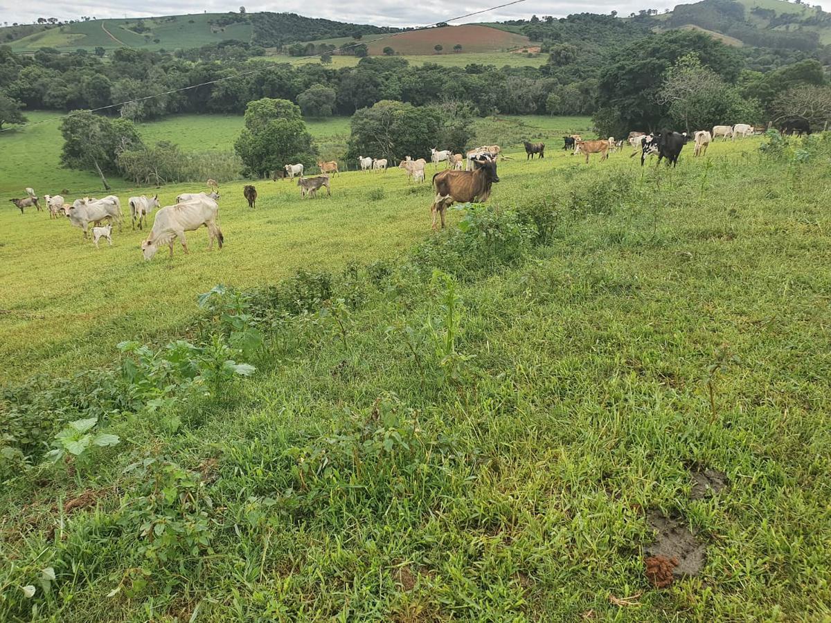 Fazenda, Zona Rural, 1 Quarto, 0 Vaga