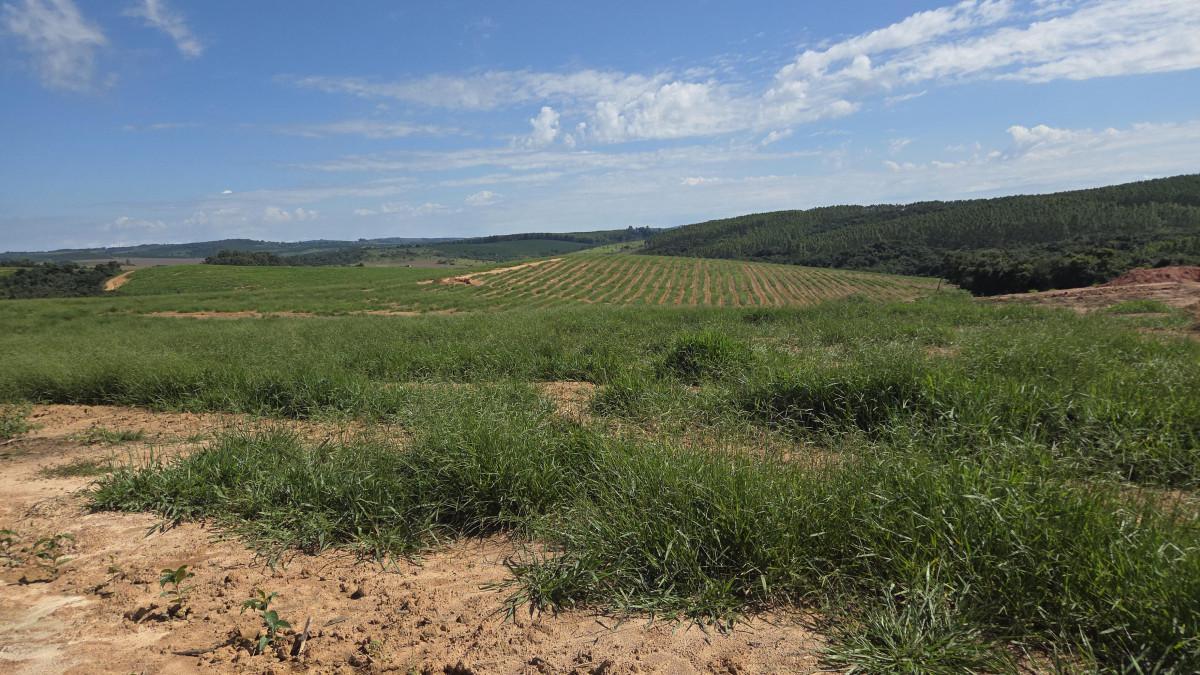 Fazenda, Zona Rural, 0 Quarto, 0 Vaga