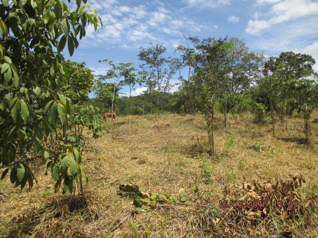 Lote, Centro