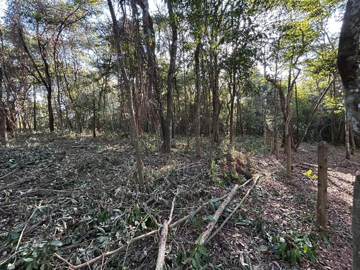 Lote, Centro, 0 Quarto, 0 Vaga