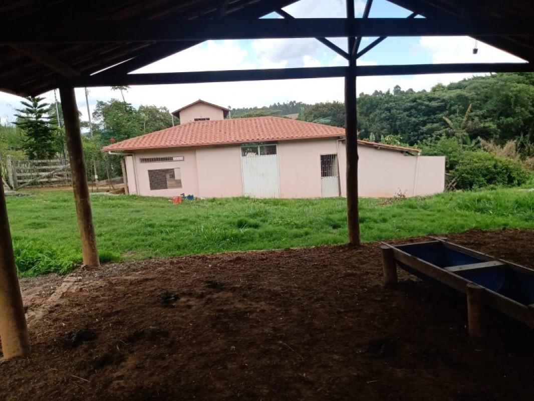 Fazenda, Centro, 0 Quarto, 0 Vaga