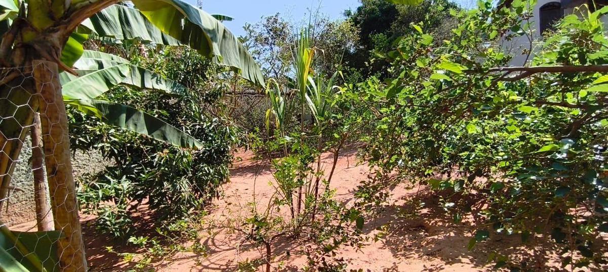 Lote, São Bernardo, 0 Quarto, 0 Vaga