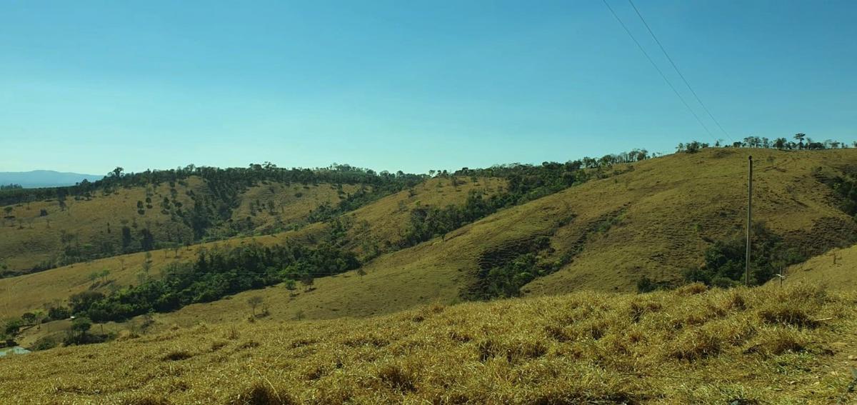 Fazenda, Centro, 1 Quarto, 1 Vaga