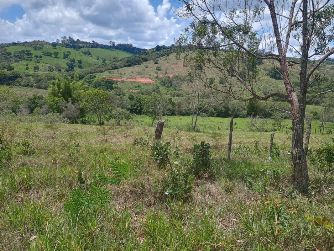 Fazenda, Zona Rural, 0 Quarto, 0 Vaga