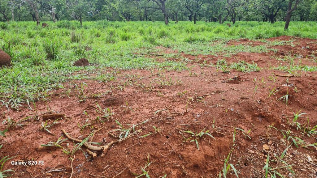 Lote, Zona Rural, 0 Quarto, 0 Vaga