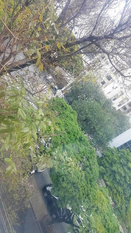 Apartamento, Lourdes, 4 Quartos, 1 Vaga, 1 Suíte