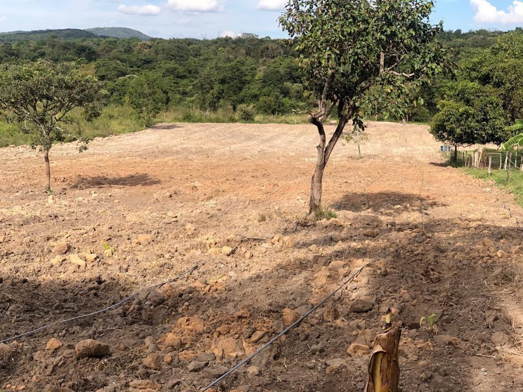 Fazenda, Área Rural de Pará de Minas, 3 Quartos, 0 Vaga, 1 Suíte