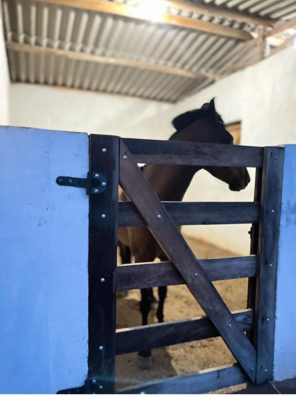 Fazenda, Zona Rural, 0 Quarto, 0 Vaga