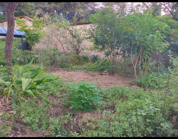 Lote, Granja Vista Alegre, 0 Quarto, 0 Vaga