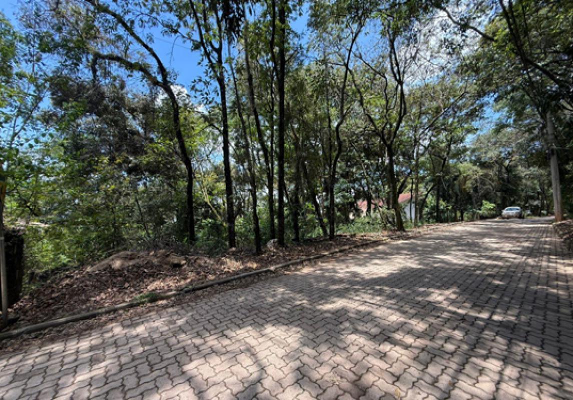 Lote, Passárgada, 0 Quarto, 0 Vaga