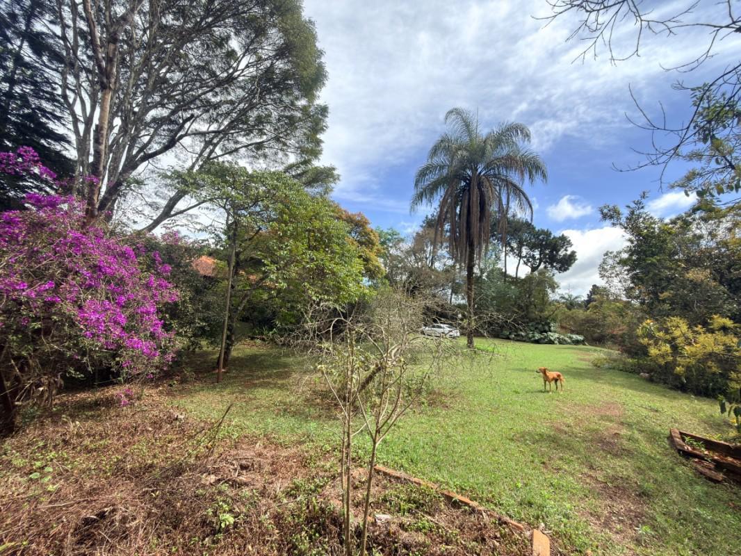 Lote, Lagoa do Miguelão, 0 Quarto, 0 Vaga